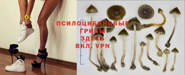 jwh Вяземский