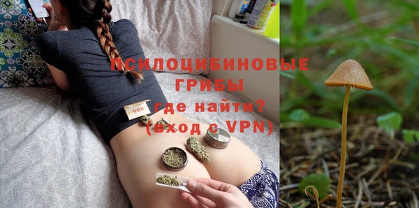 таблы Гусев