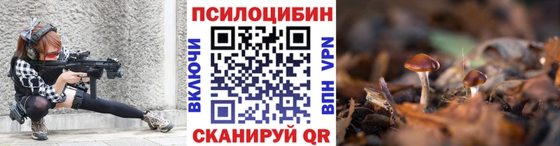Псилоцибиновые грибы Cubensis Ступино