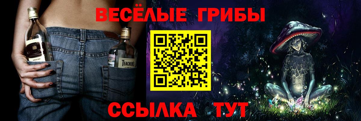 Псилоцибиновые грибы мицелий  Вход с VPN  Псилоцибиновые грибы прущие грибы  Ступино 